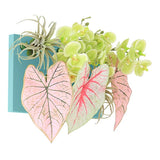 光触媒 壁掛け フェイクグリーン | Botanical aino c.class 14