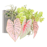 光触媒 壁掛け フェイクグリーン | Botanical aino c.class 14