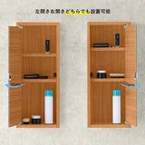 WB-DXミラー H six 薄型 BR