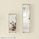 WB-DXミラー H nine 薄型 BR