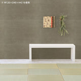 Zero-XW 12060D nail