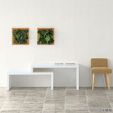 ZERO IP 1203042 nail