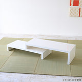 ZERO IP 1203042 nail