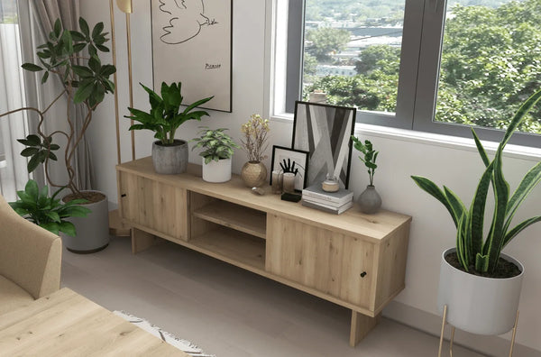 一人暮らしに観葉植物がおすすめ!お部屋のインテリアをおしゃれに!