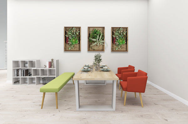 空気清浄効果のある観葉植物と、おすすめのフェイクグリーンインテリア!