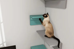 やめて！の前に知っておきたい【猫が家具を噛む】ホントの理由と効果的な対策とは？