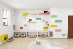 猫と暮らす家づくり：キャットウォークを存分に楽しむための基礎知識