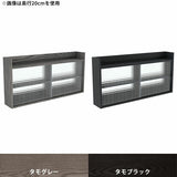 ウォールシェルフ 壁掛け棚 | Mirai ウォールキャビL アクリル戸 1202560 天然木突板 タモグレー