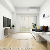 TVボード ウォールシェルフ