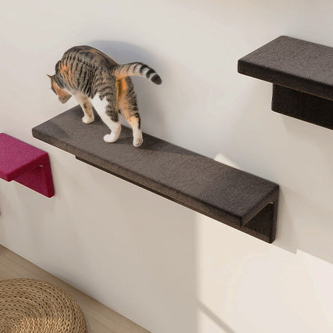 猫にボロボロにされにくい壁掛け家具