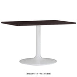 ダイニングテーブル オフィス | CT-RGR11065 Atype-D脚