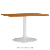 ダイニングテーブル オフィス | CT-RGR11065 Atype-D脚