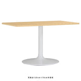 ダイニングテーブル  シンプル | CT-RGR12070 Atype-D脚