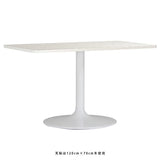 ダイニングテーブル  シンプル | CT-RGR12070 Atype-D脚