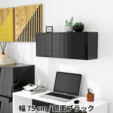 ウォールシェルフ 扉付き | WallBox7-DX B-750 black