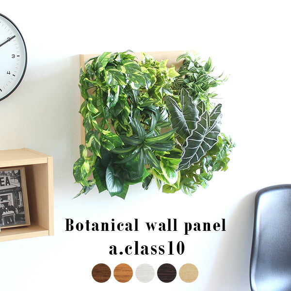 Botanical a.class 10 | 光触媒 人工観葉植物