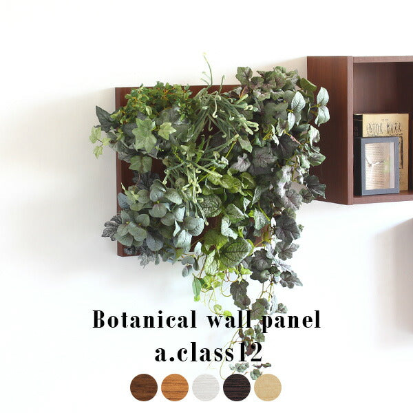 Botanical a.class 12 | アートパネル 光触媒 観葉植物