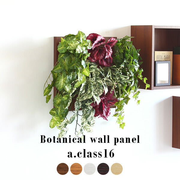 Botanical a.class 16 | 光触媒 人工観葉植物