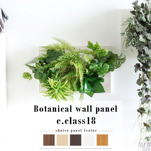 Botanical c.class 18 | 光触媒 壁掛け アートパネル