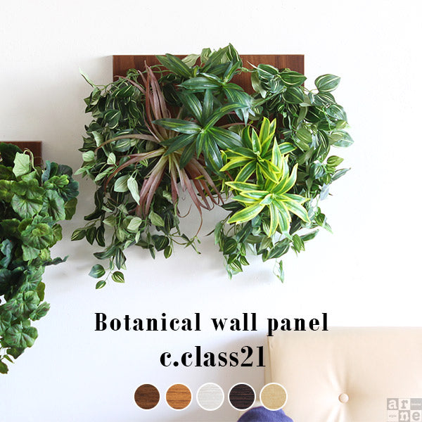 Botanical c.class 21 | 壁掛け アートパネル