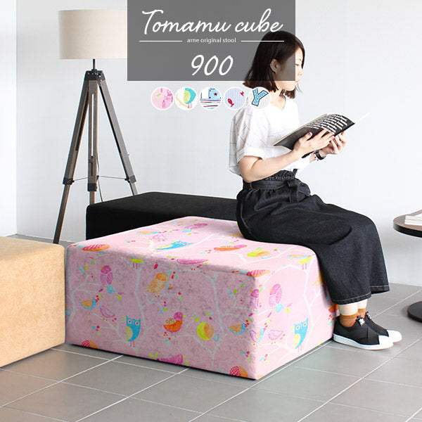 Tomamu Cube 900 イラスト |