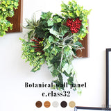 Botanical c.class 32 | アートパネル 光触媒 観葉植物