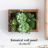 Botanical slc.class 12 | 光触媒 壁掛け アートパネル