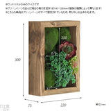 壁掛け アートパネル | Botanical slc.class 22