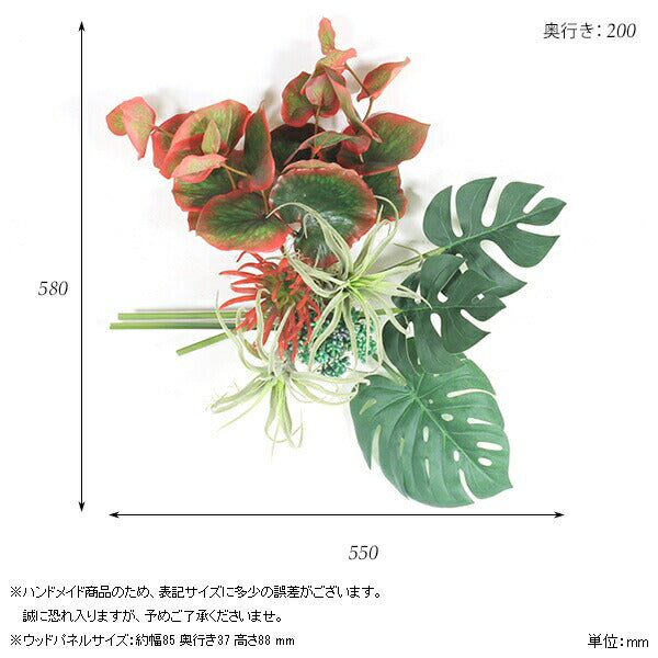 Botanical EQ.class 02 | アートパネル 光触媒 観葉植物