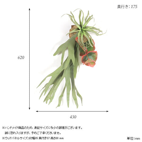 壁掛け アートパネル | Botanical EQ.class 09