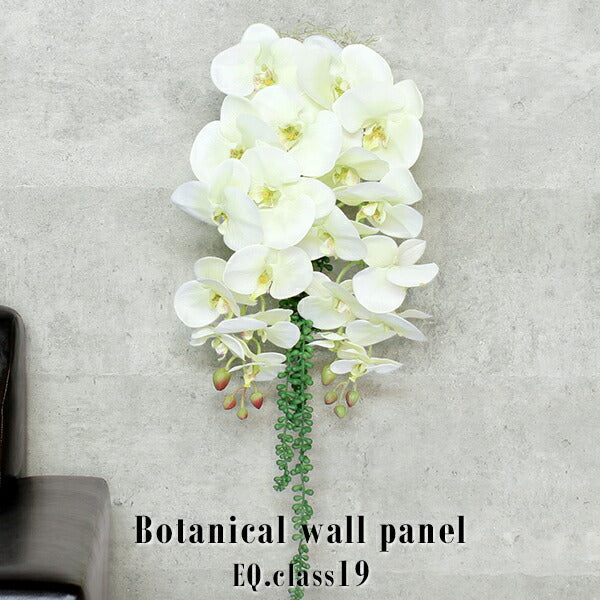 Botanical EQ.class 19 | 人工観葉植物 ウォールフラワー