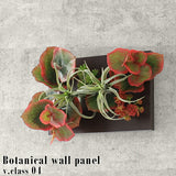 Botanical v.class 04 | 人工観葉植物 アートフラワー