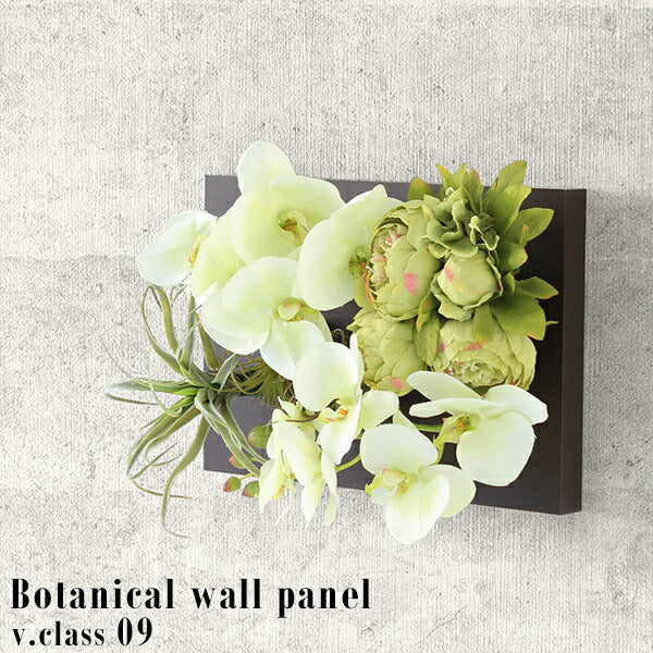 Botanical v.class 09 | 胡蝶蘭 エアプランツ 造花