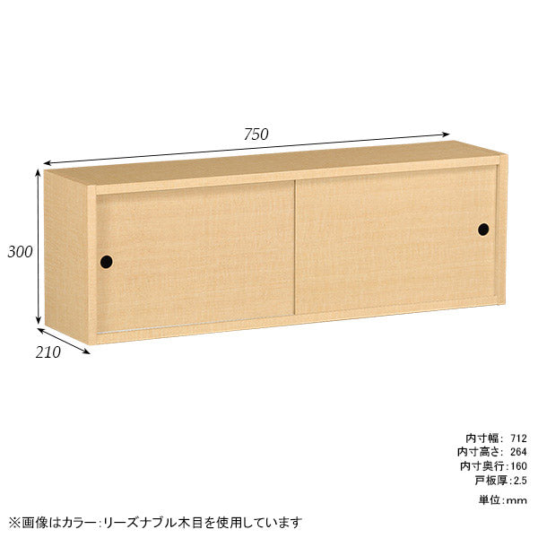 WallBox7-SD B-750 nail | ウォールシェルフ 長方形 引き戸