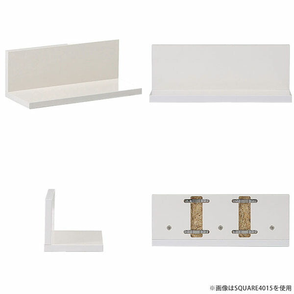 SKY WallRack-square 5515 nail