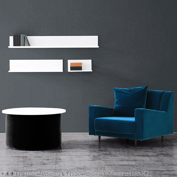 SKY WallRack-square 6015 nail