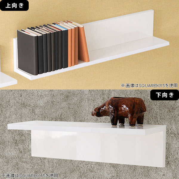 SKY WallRack-square 5515 nail
