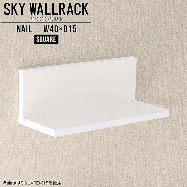 SKY WallRack-square 4015 nail