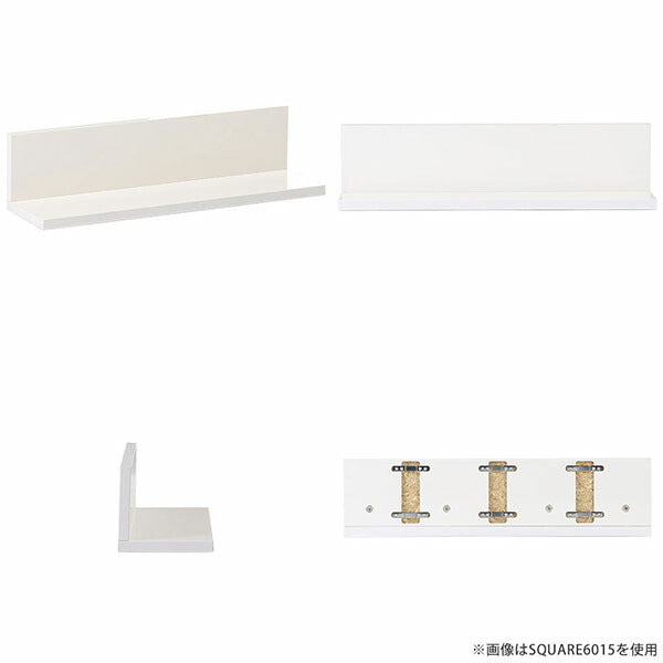 SKY WallRack-square 6015 nail