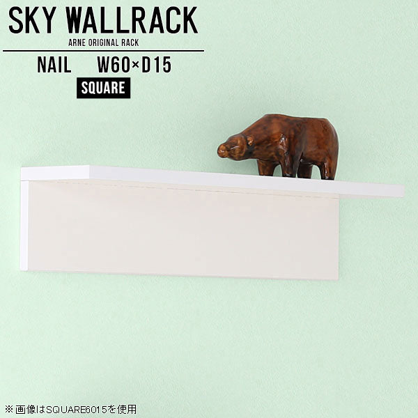 SKY WallRack-square 6015 nail