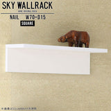 SKY WallRack-square 7015 nail