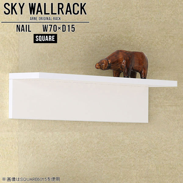 SKY WallRack-square 7015 nail