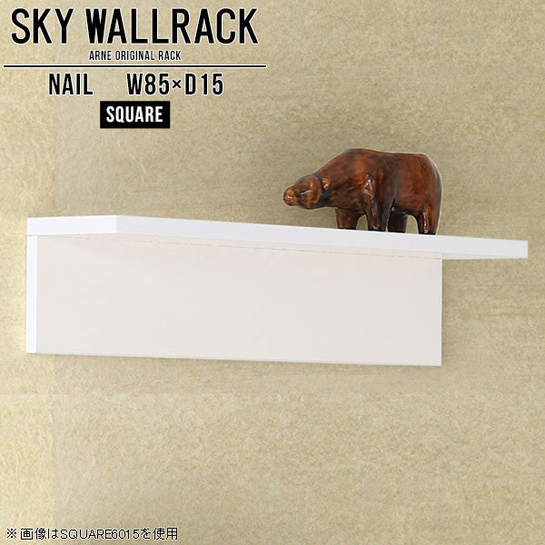 SKY WallRack-square 8515 nail