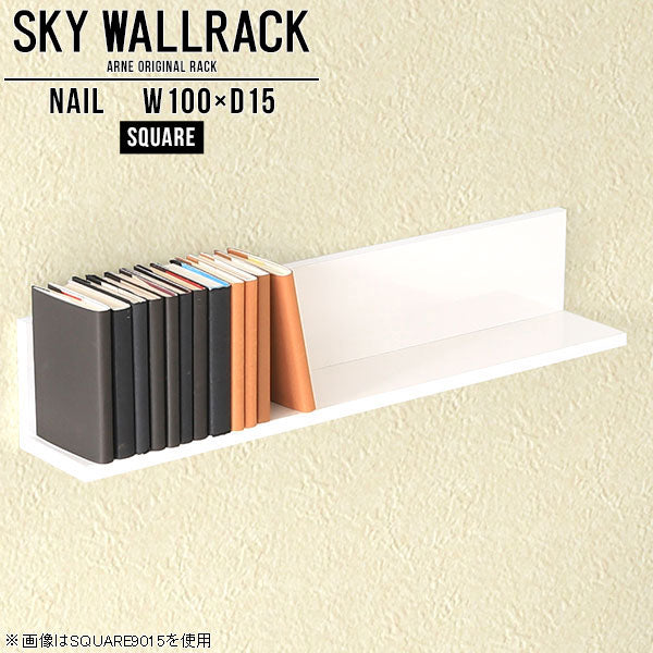 SKY WallRack-square 10015 nail
