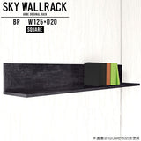 SKY WallRack-square 12520 BP