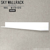 SKY WallRack-square 17015 nail