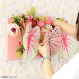 Botanical aino c.class 12 PPK