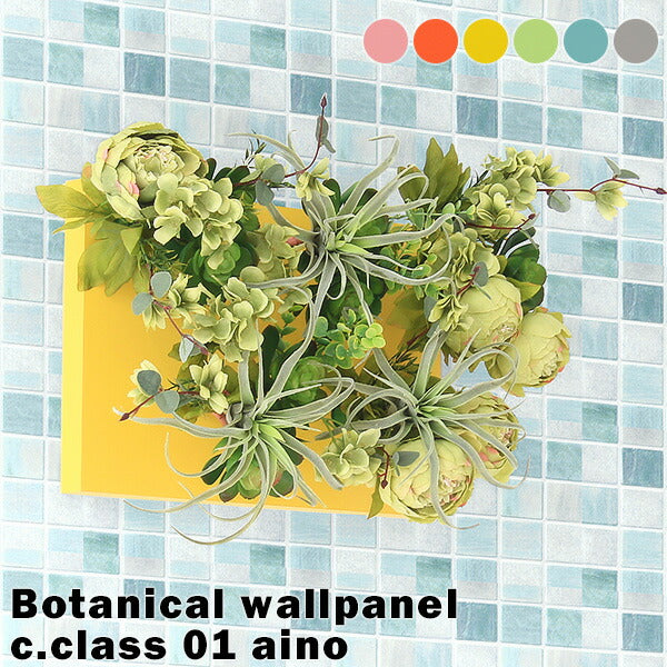 Botanical aino c.class 01 PPK