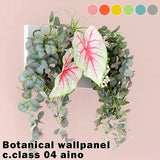 Botanical aino c.class 04 PPK