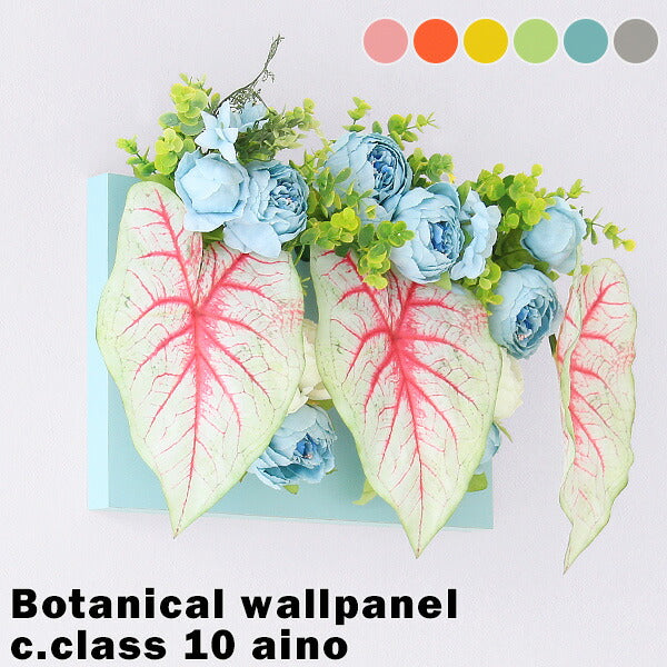 Botanical aino c.class 10 PPK